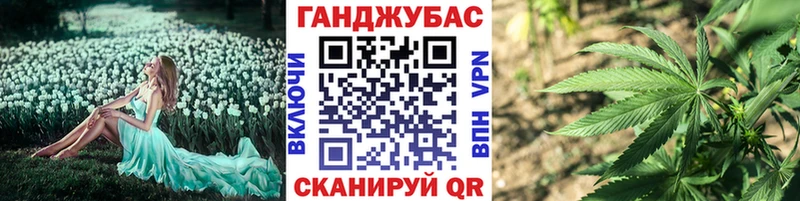 Канабис план Нальчик